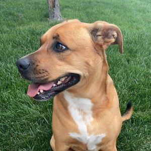 Meet your Posher, Jamie